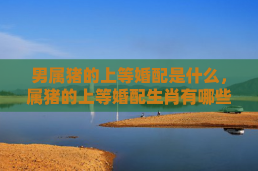 男属猪的上等婚配是什么，属猪的上等婚配生肖有哪些好
