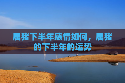 属猪下半年感情如何，属猪的下半年的运势