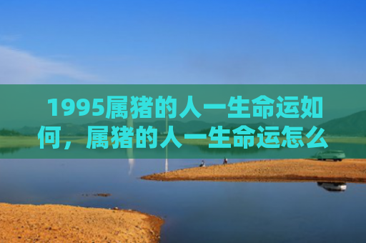 1995属猪的人一生命运如何，属猪的人一生命运怎么样