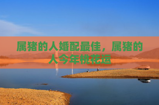 属猪的人婚配最佳，属猪的人今年桃花运