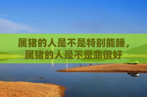 属猪的人是不是特别能睡，属猪的人是不是命很好