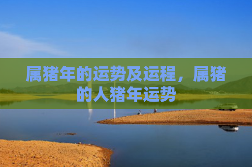 属猪年的运势及运程，属猪的人猪年运势