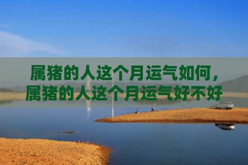 属猪的人这个月运气如何，属猪的人这个月运气好不好