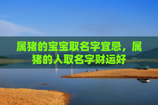 属猪的宝宝取名字宜忌，属猪的人取名字财运好