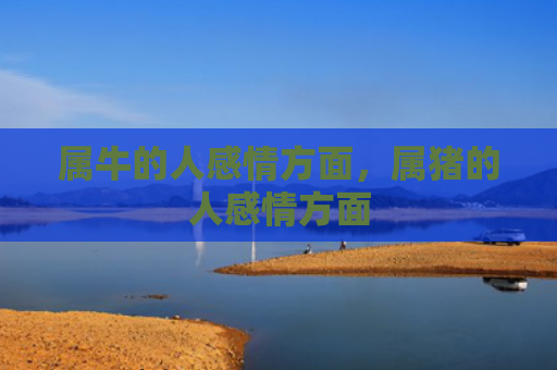 属牛的人感情方面，属猪的人感情方面
