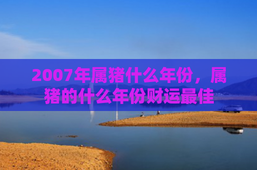 2007年属猪什么年份，属猪的什么年份财运最佳