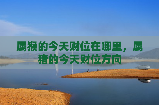 属猴的今天财位在哪里，属猪的今天财位方向