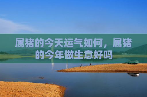 属猪的今天运气如何，属猪的今年做生意好吗
