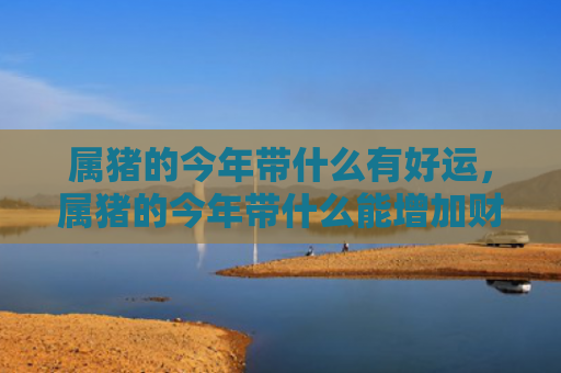 属猪的今年带什么有好运，属猪的今年带什么能增加财运