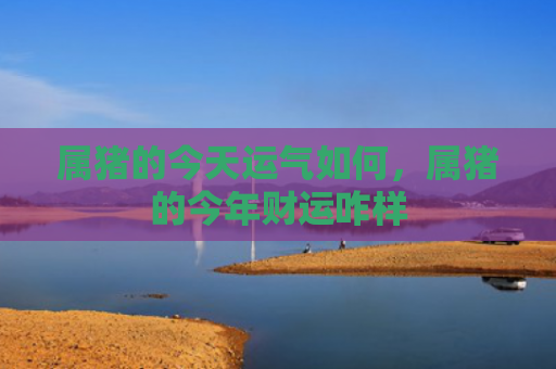 属猪的今天运气如何，属猪的今年财运咋样