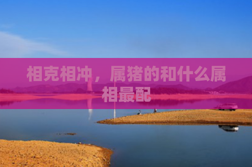 相克相冲，属猪的和什么属相最配