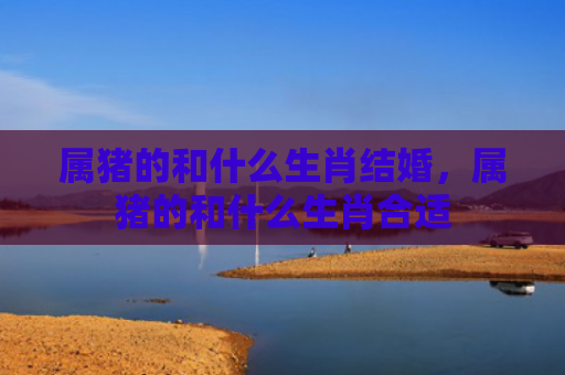 属猪的和什么生肖结婚，属猪的和什么生肖合适