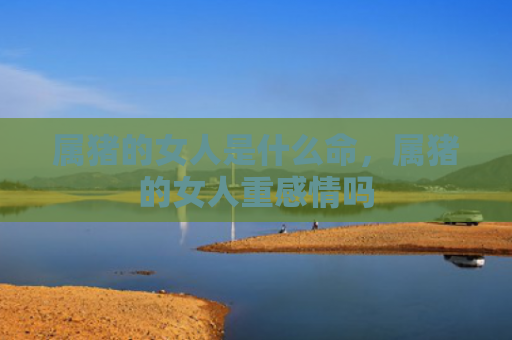 属猪的女人是什么命，属猪的女人重感情吗