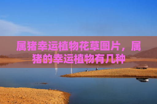 属猪幸运植物花草图片，属猪的幸运植物有几种
