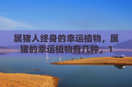 属猪人终身的幸运植物，属猪的幸运植物有几种，1