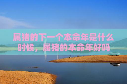 属猪的下一个本命年是什么时候，属猪的本命年好吗
