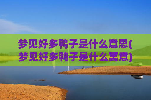 梦见好多鸭子是什么意思(梦见好多鸭子是什么寓意)