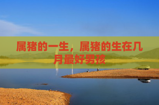 属猪的一生，属猪的生在几月最好男孩