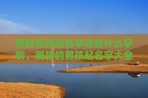 属猪男孩起名字适合什么字啊，属猪的男孩起名字大全