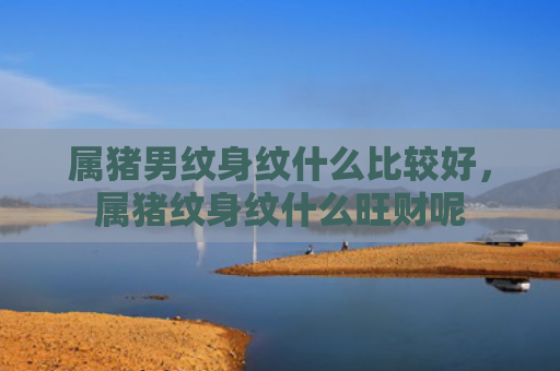 属猪男纹身纹什么比较好，属猪纹身纹什么旺财呢