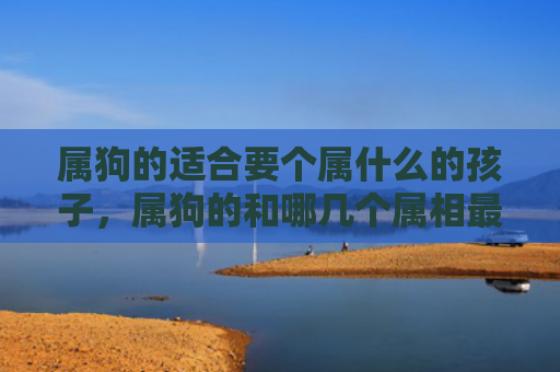 属狗的适合要个属什么的孩子，属狗的和哪几个属相最合