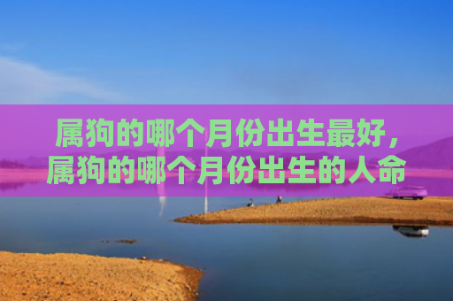 属狗的哪个月份出生最好，属狗的哪个月份出生的人命好