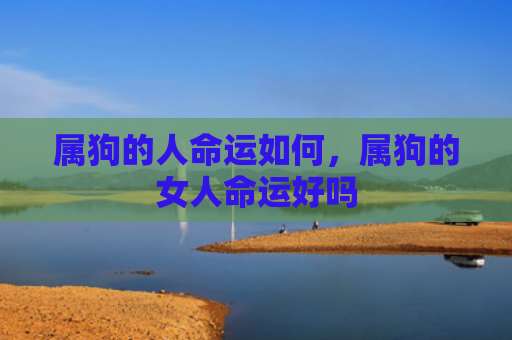 属狗的人命运如何，属狗的女人命运好吗