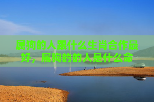 属狗的人跟什么生肖合作最好，属狗的的人是什么命