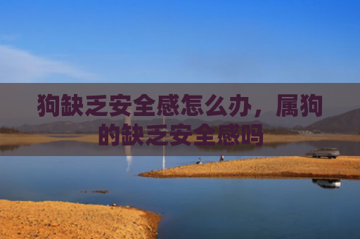 狗缺乏安全感怎么办，属狗的缺乏安全感吗
