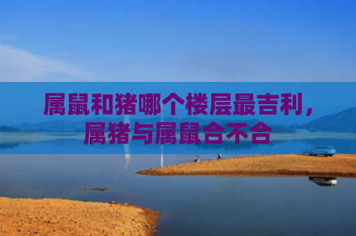 属鼠和猪哪个楼层最吉利，属猪与属鼠合不合