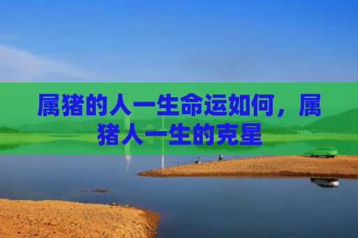 属猪的人一生命运如何，属猪人一生的克星