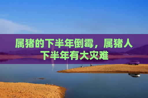属猪的下半年倒霉，属猪人下半年有大灾难
