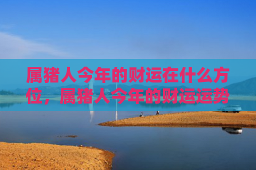 属猪人今年的财运在什么方位，属猪人今年的财运运势