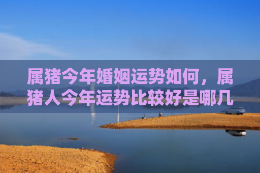 属猪今年婚姻运势如何，属猪人今年运势比较好是哪几个月