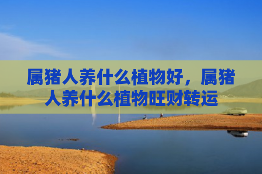 属猪人养什么植物好，属猪人养什么植物旺财转运