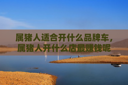 属猪人适合开什么品牌车，属猪人开什么店最赚钱呢