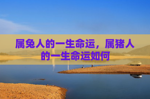 属兔人的一生命运，属猪人的一生命运如何