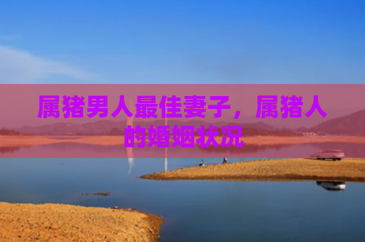 属猪男人最佳妻子，属猪人的婚姻状况