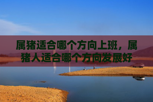 属猪适合哪个方向上班，属猪人适合哪个方向发展好