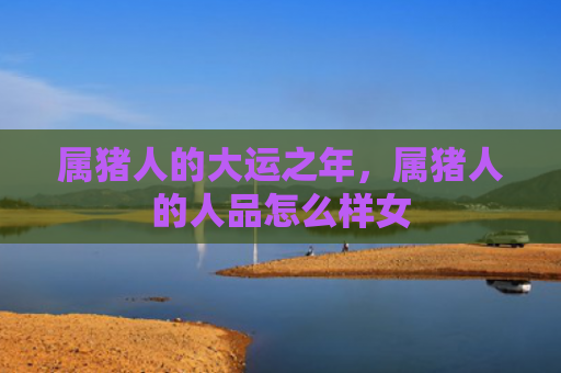 属猪人的大运之年，属猪人的人品怎么样女
