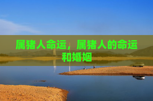 属猪人命运，属猪人的命运和婚姻