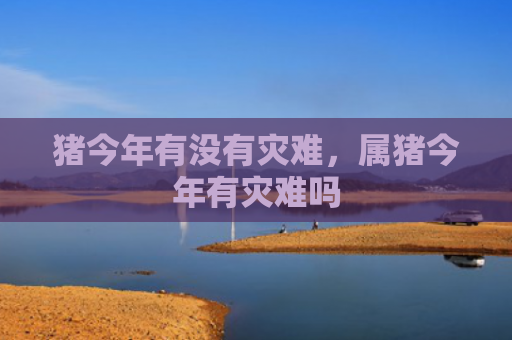 猪今年有没有灾难，属猪今年有灾难吗