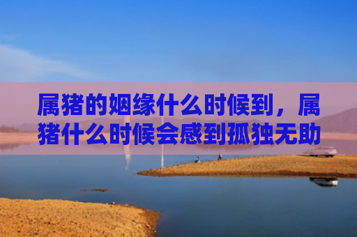 属猪的姻缘什么时候到，属猪什么时候会感到孤独无助