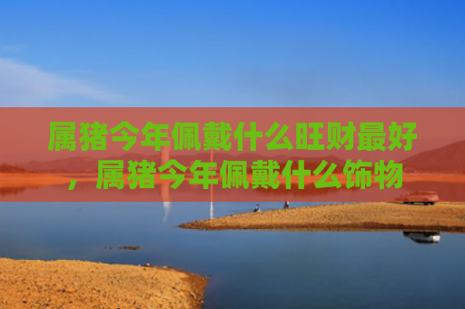 属猪今年佩戴什么旺财最好，属猪今年佩戴什么饰物