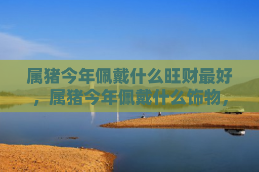 属猪今年佩戴什么旺财最好，属猪今年佩戴什么饰物，1