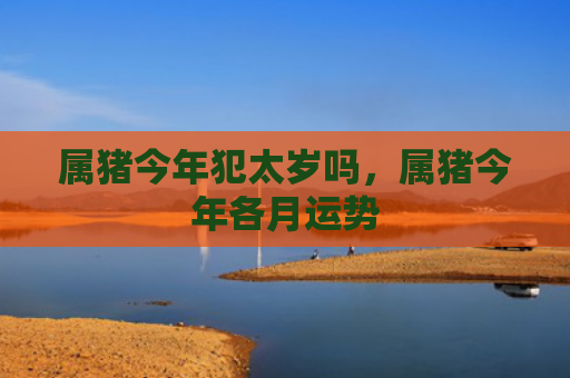 属猪今年犯太岁吗，属猪今年各月运势
