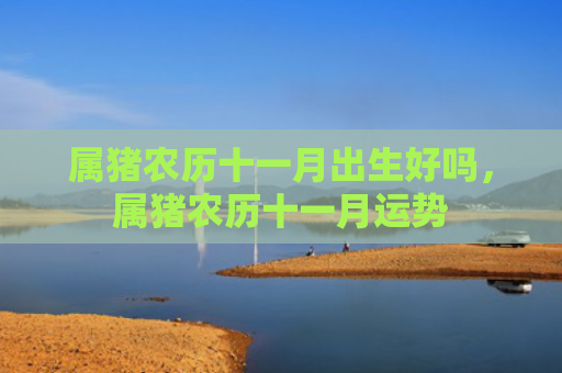 属猪农历十一月出生好吗，属猪农历十一月运势