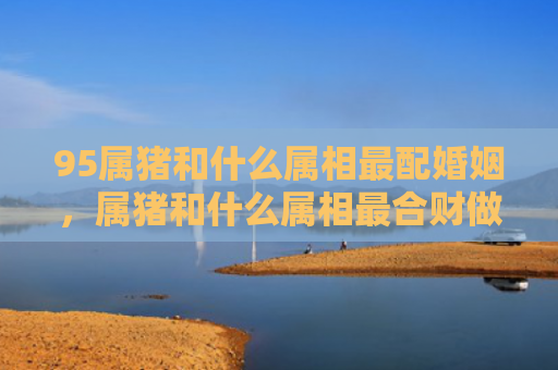 95属猪和什么属相最配婚姻，属猪和什么属相最合财做生意