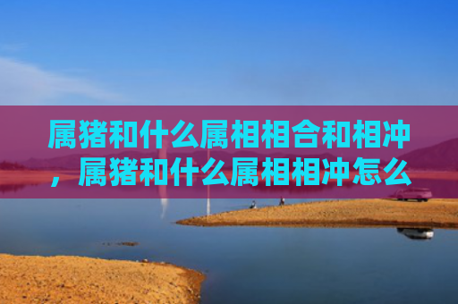 属猪和什么属相相合和相冲，属猪和什么属相相冲怎么化解