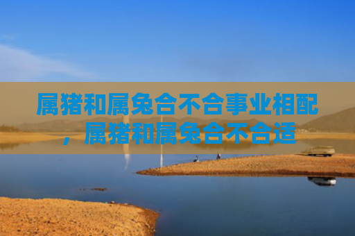 属猪和属兔合不合事业相配，属猪和属兔合不合适